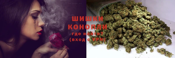 крисы Михайловск