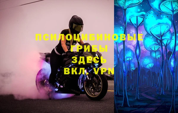гашишное масло Михайлов