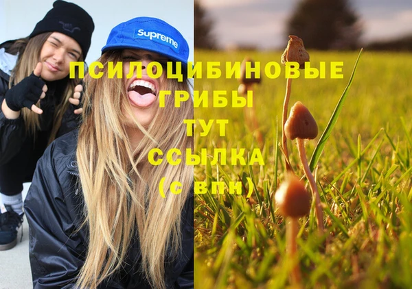 альфа пвп Долгопрудный