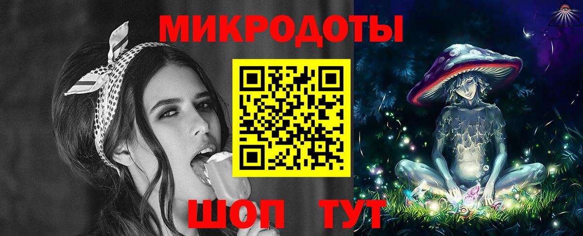 Галлюциногенные грибы Psilocybine cubensis Туапсе